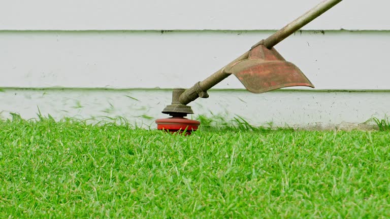 How Our Tree Care Process Works  in  Benavides, TX
